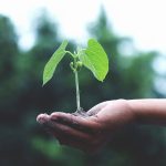The Power of Daily Rituals for Dream Achievement